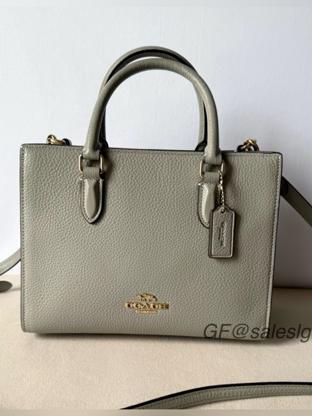 NWT Coach Maggie Small Tote Bag Dove Gold w/ Scarf & Chain Styled Set